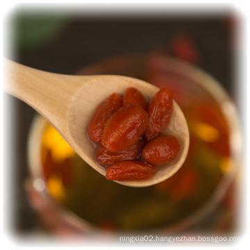 Healthcare Food Red Bayas de Goji